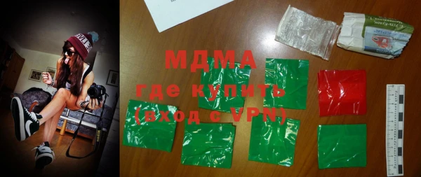 индика Новодвинск