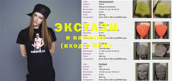 индика Новодвинск