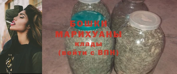 индика Новодвинск
