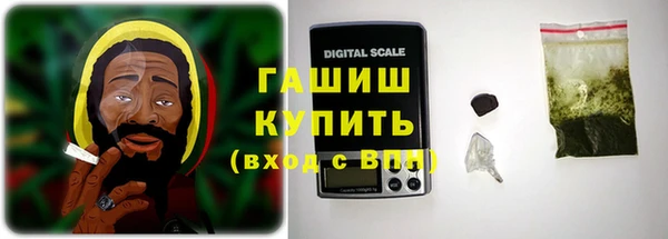 индика Новодвинск