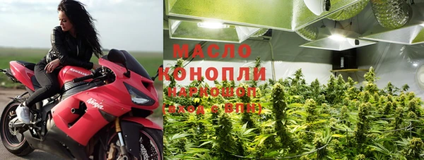 индика Новодвинск
