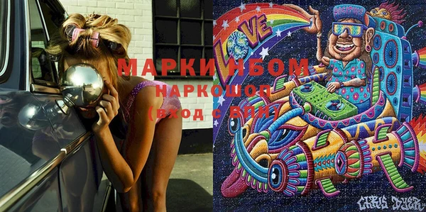 индика Новодвинск