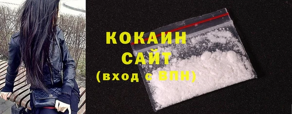 крисы Новокубанск