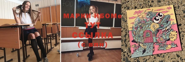 крисы Новокубанск