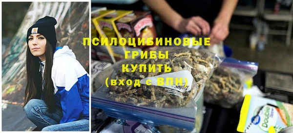 индика Новодвинск