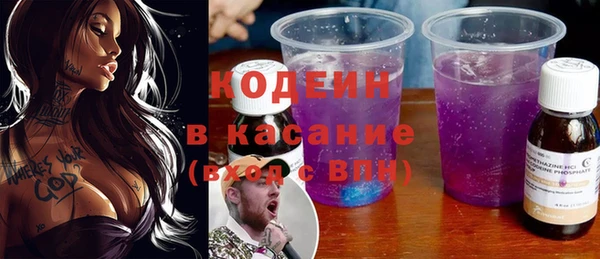 индика Новодвинск