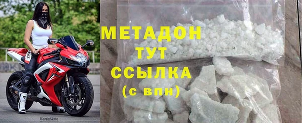 индика Новодвинск