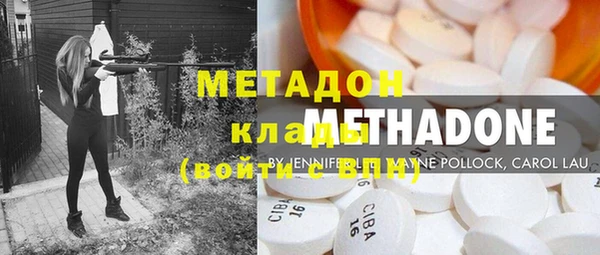 индика Новодвинск