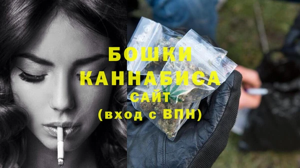 индика Новодвинск