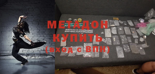 индика Новодвинск