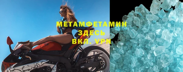 индика Новодвинск