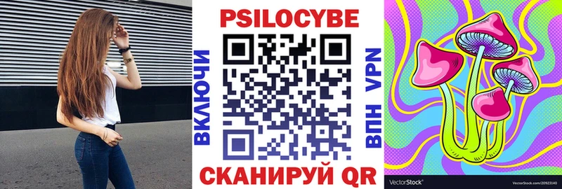 Галлюциногенные грибы Psilocybine cubensis Ковылкино